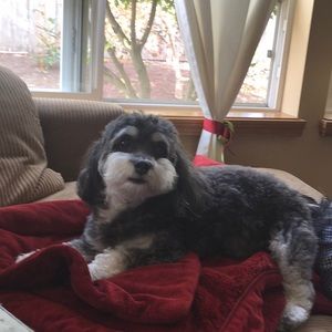 Meet your Posher, Ann